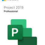 Microsoft Project Professional 2019