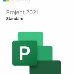 Microsoft Project Standard 2021