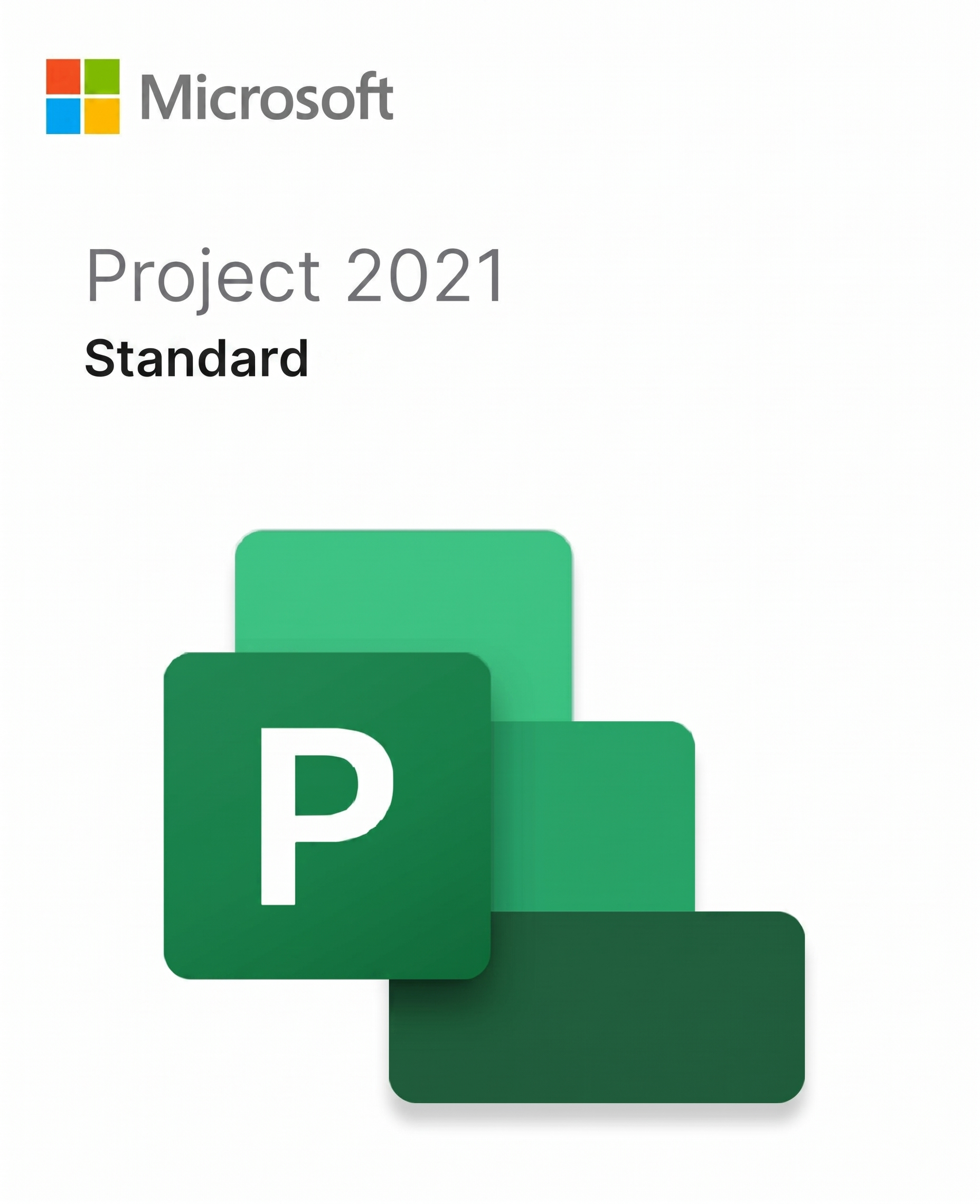 Microsoft Project Standard 2021