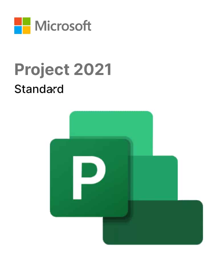Project 2021 standard