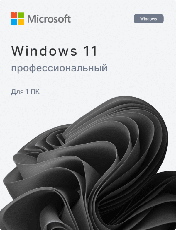 Windows 11 Pro