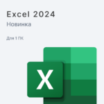 Microsoft Excel 2024
