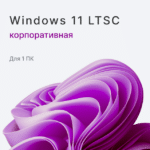 Windows 11 Enterprise LTSC 2024
